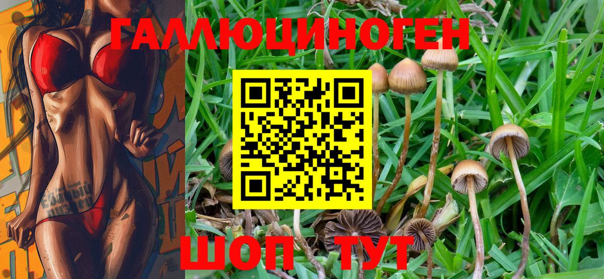Псилоцибиновые грибы Psilocybine cubensis  Вход с VPN  Краснотурьинск  где купить наркоту  Псилоцибиновые грибы Psilocybine cubensis 